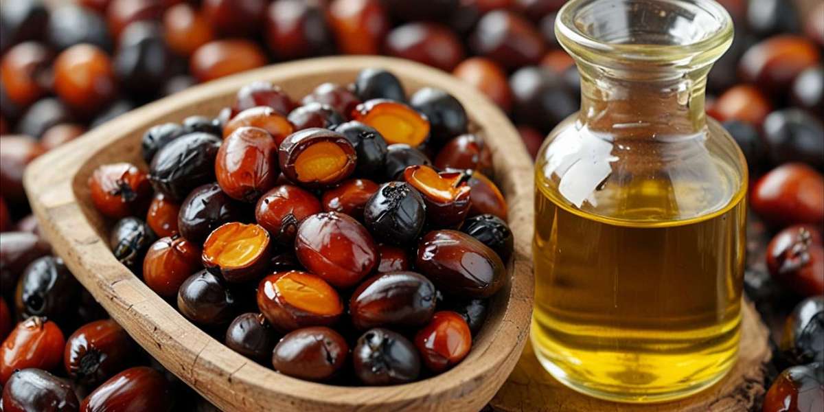 Palm Kernel Oil Manufacturing Plant Project Report 2025: Cost Analysis and Raw Material Requirements