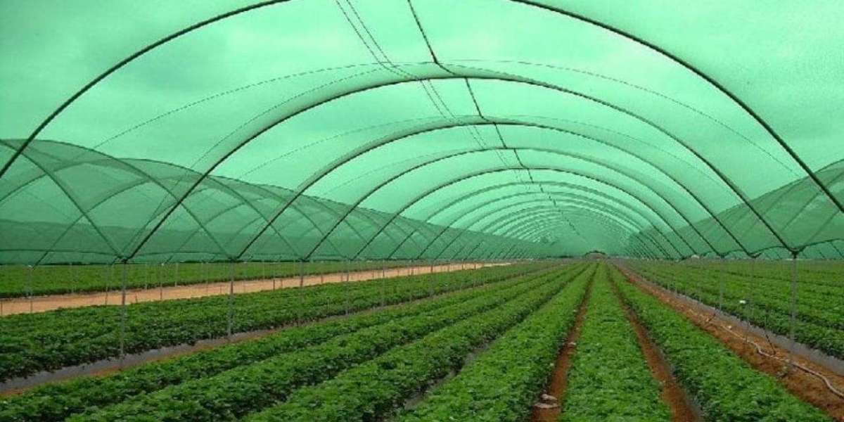 Agricultural textiles market dynamics shaping growth and innovation globally