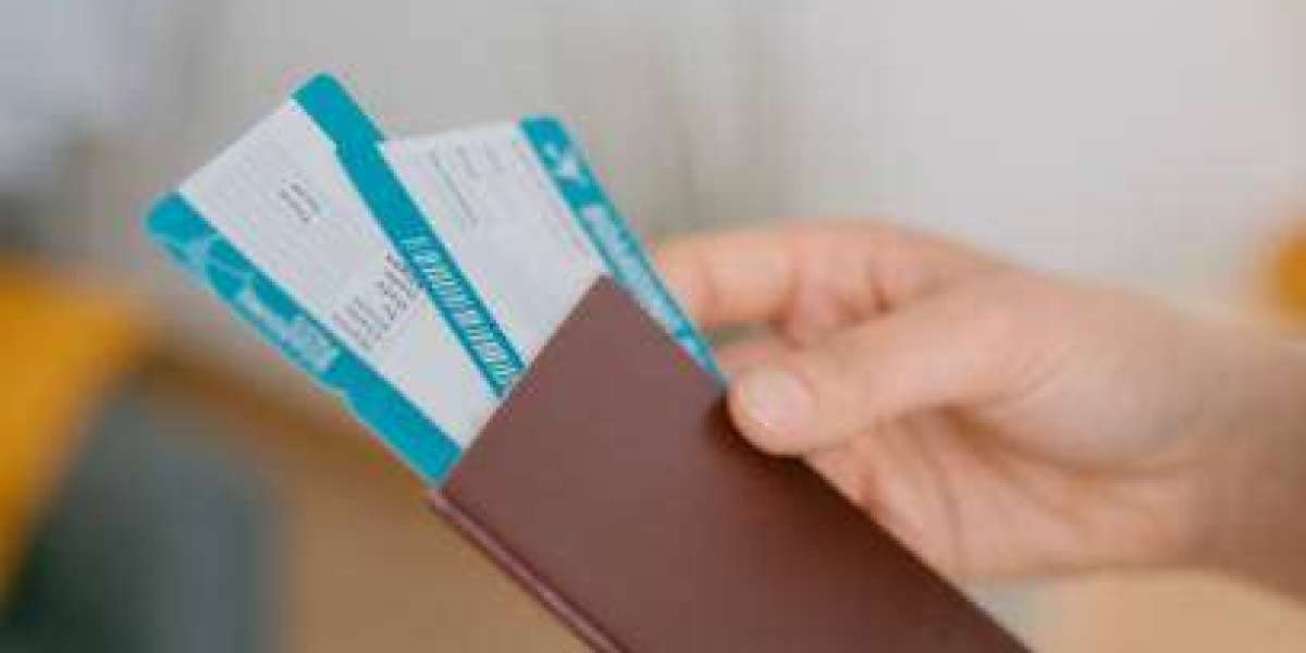 How to Avoid Delays While Applying for 96 Hour Transit Visa