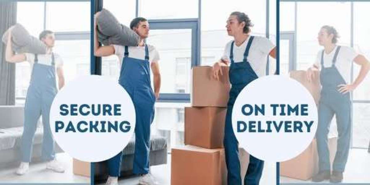 Professional Movers and Packers Services in Dubai | Prime Zone Movers