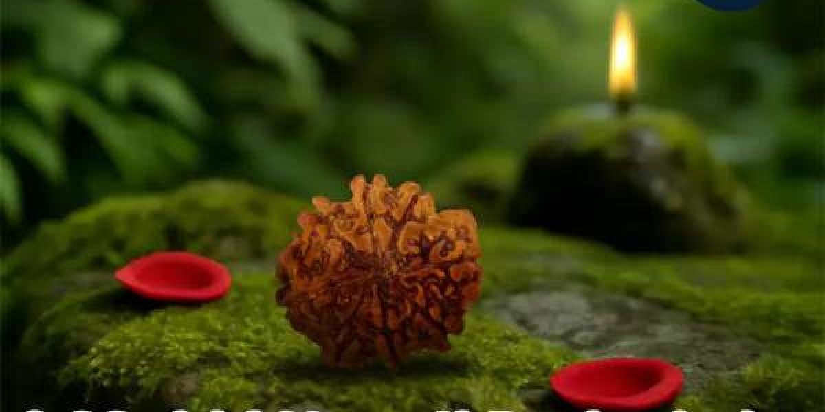 8 Mukhi Nepali Rudraksha for Success and Wisdom