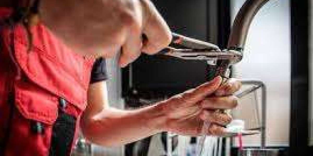 How Can a Plumber in Monroe, NC Fix Your Leaky Pipes Fast?