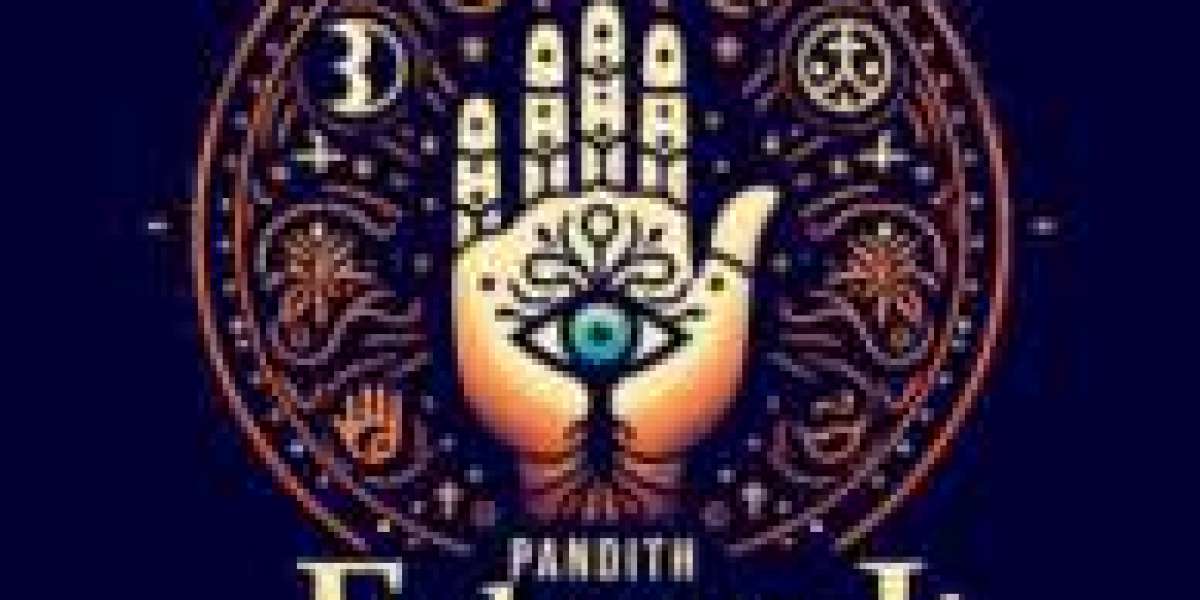 Best Indian Astrologer in Plano | Spiritual Healer & Astrology Services