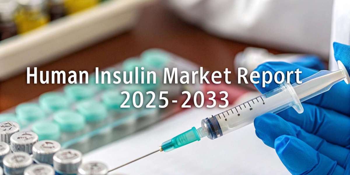 Human Insulin Market Analysis, Share, and Growth Forecast 2025-2033