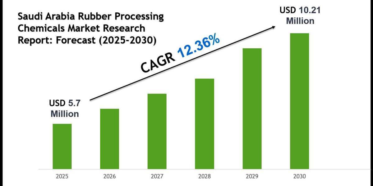 Qatar Rubber Processing Chemicals Market 2030: Key Companies, Player Strategies & Forecast