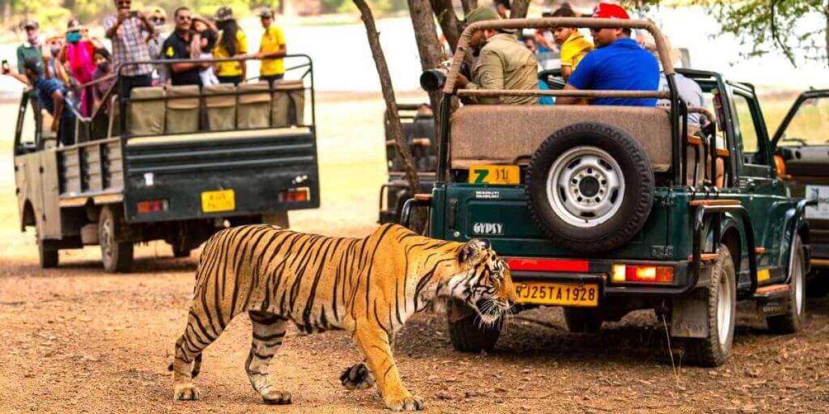 Ranthambore Through My Lens: A Love Letter to the Wild