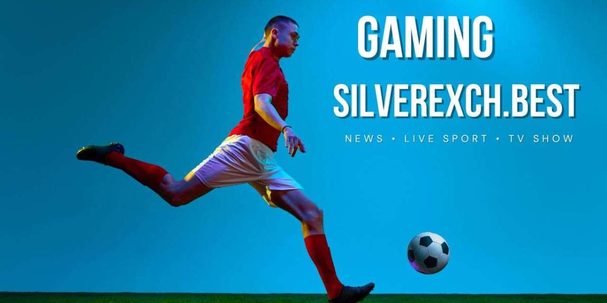 Cricket Insights and Silverexch: A Complete Fan’s Guide