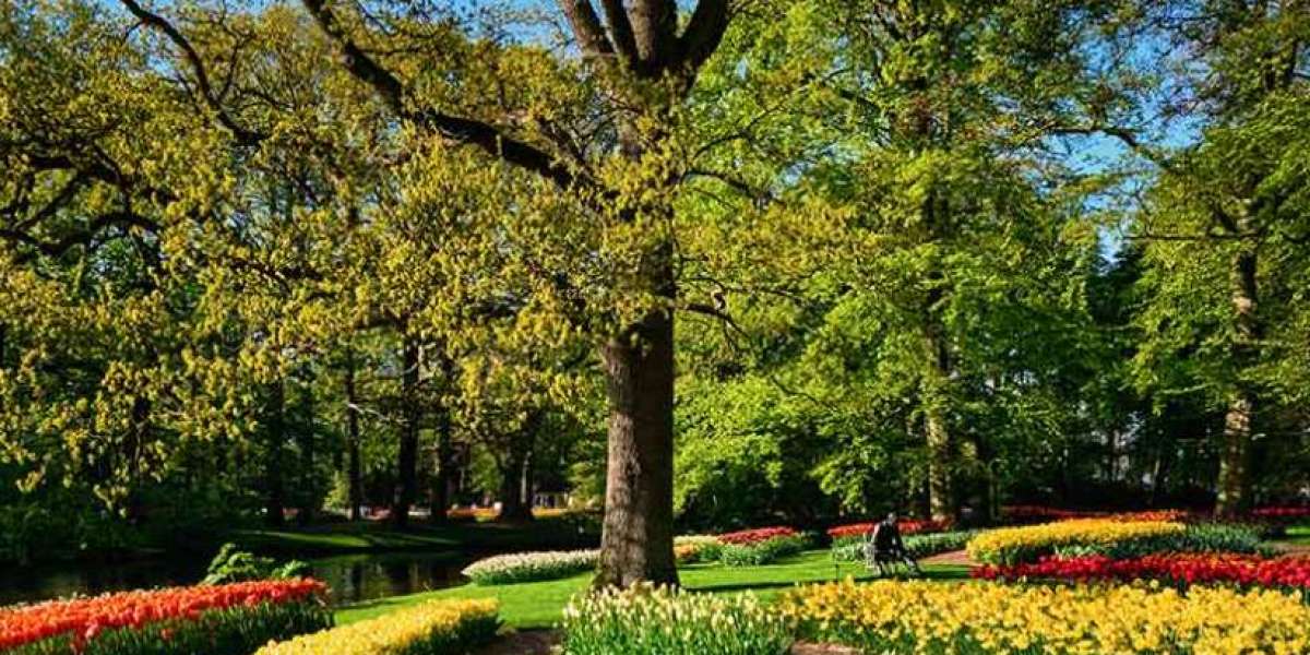 Smart Water & Irrigation Solutions in Houston