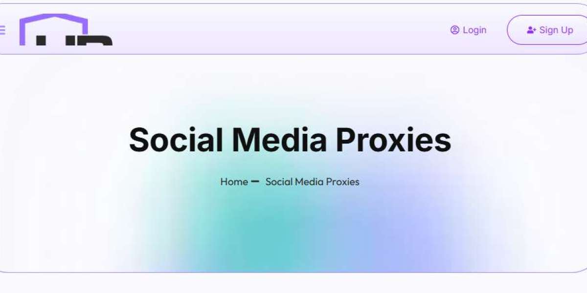 The Ultimate Guide to Social Media Proxies for Professionals in the USA