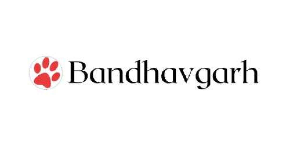 Between Forest Trails and Fine Dining: The Bandhavgarh Experience
