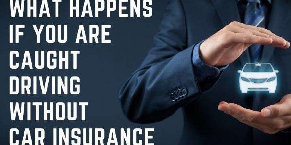 The Accidental Offence: A Driver's Guide to Avoiding the Insurance Traps