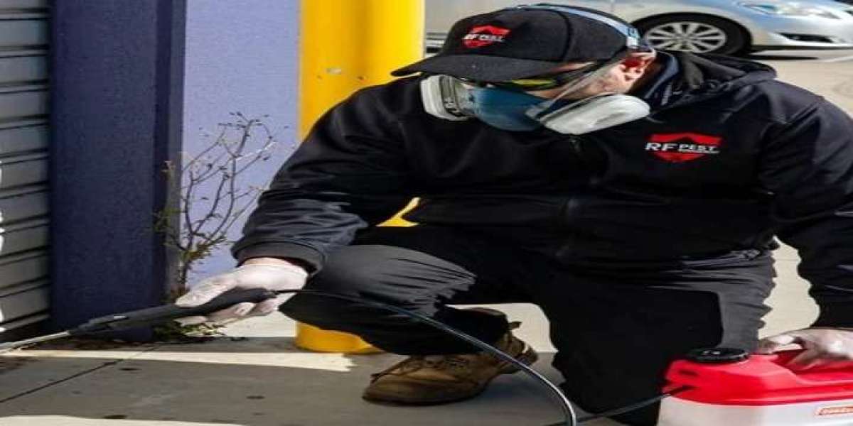 How to Choose the Best Pest Control Service in Hoppers Crossing, Caroline Springs and Point Cook