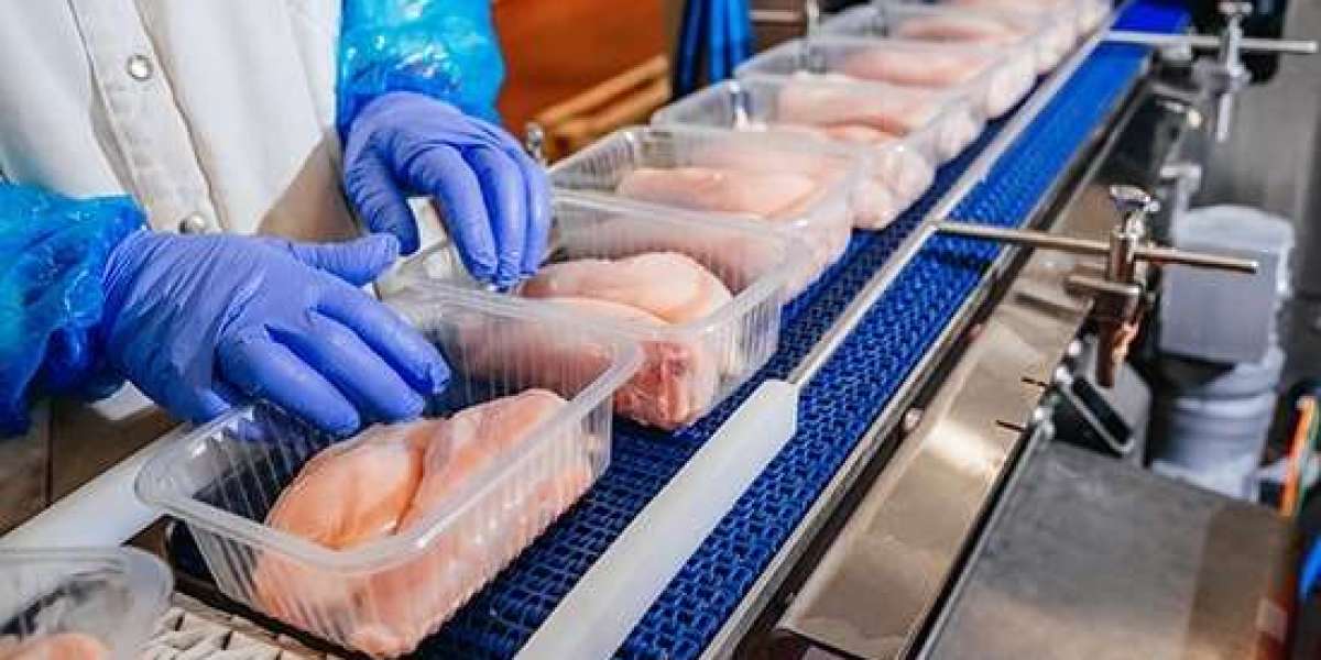 India Meat Processing Market Outlook, Growth, and Trends Forecast 2025–2033