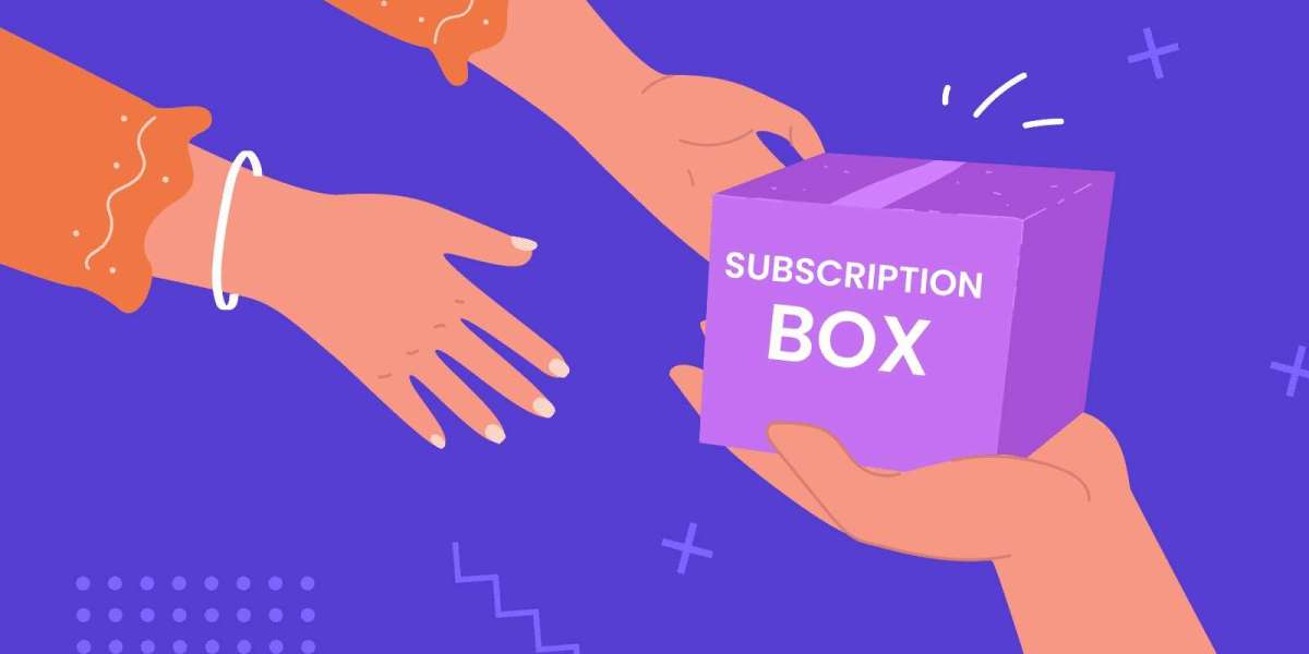 India Subscription Box Market Outlook, Growth, and Demand Forecast 2025–2033