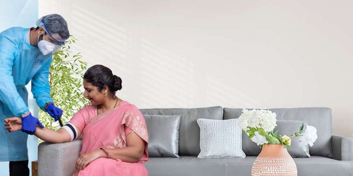 India Home Diagnostic Testing Market Share, Growth & Trends Report 2025-2033