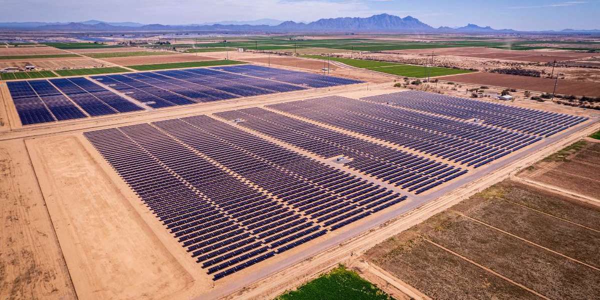 Investing in Desert-Based Renewable Energy Startups