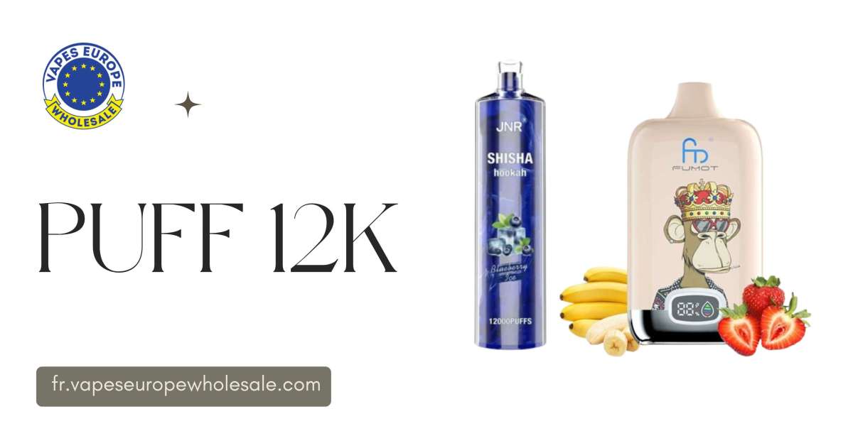 Puff 12K : Une Nouvelle Référence dans l’Univers de la Vape