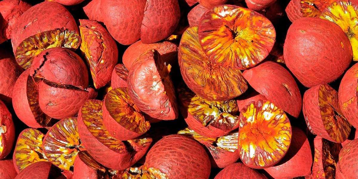 Keys to Running a Profitable Areca Nut Processing Plant Setup Report 2025: Cost Details