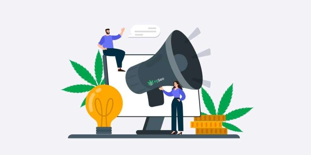 Grow with Confidence: The Power of the Best CBD Digital Marketing Agency in United States