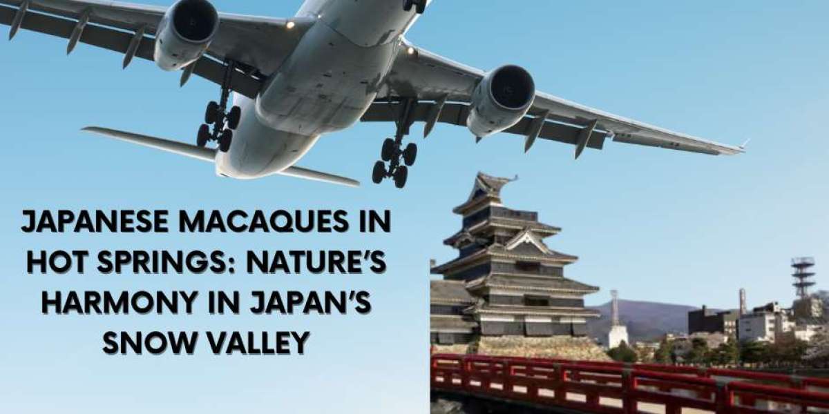 Japanese Macaques in Hot Springs: Nature’s Harmony in Japan’s Snow Valley