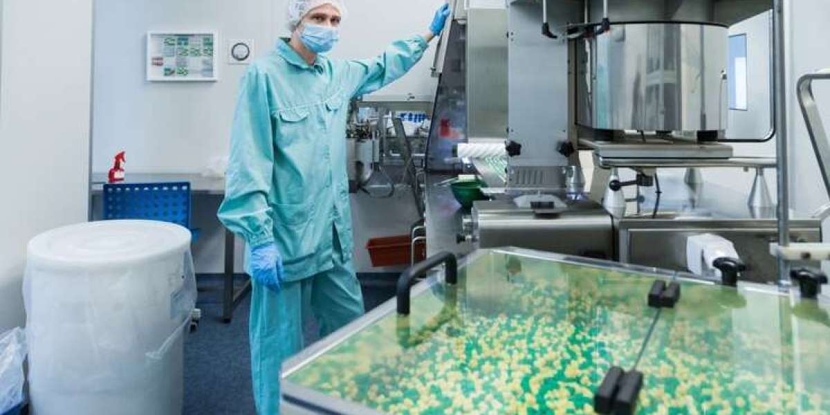Establishing an Nutraceutical Manufacturing Plant Report 2025, Project Cost Details