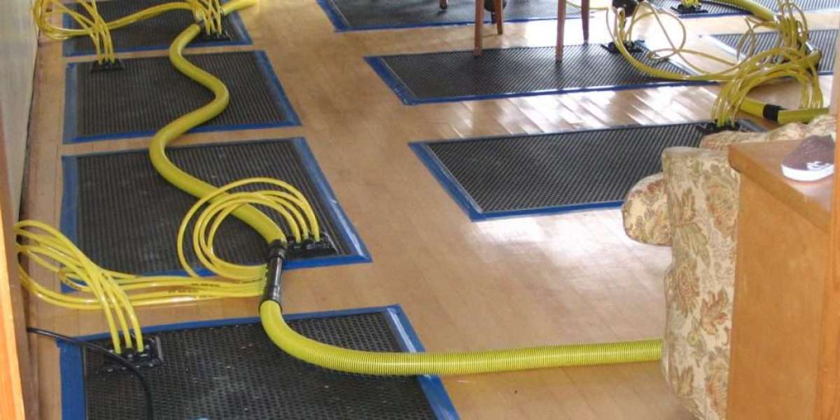 The Homeowner’s Guide to Emergency Water Damage Restoration in 2025