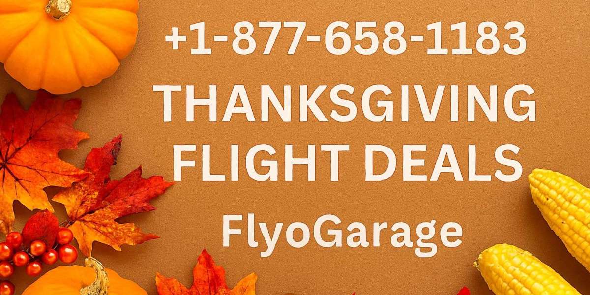 +1-877-658-1183 | Thanksgiving Flight Deals | FlyoGarage