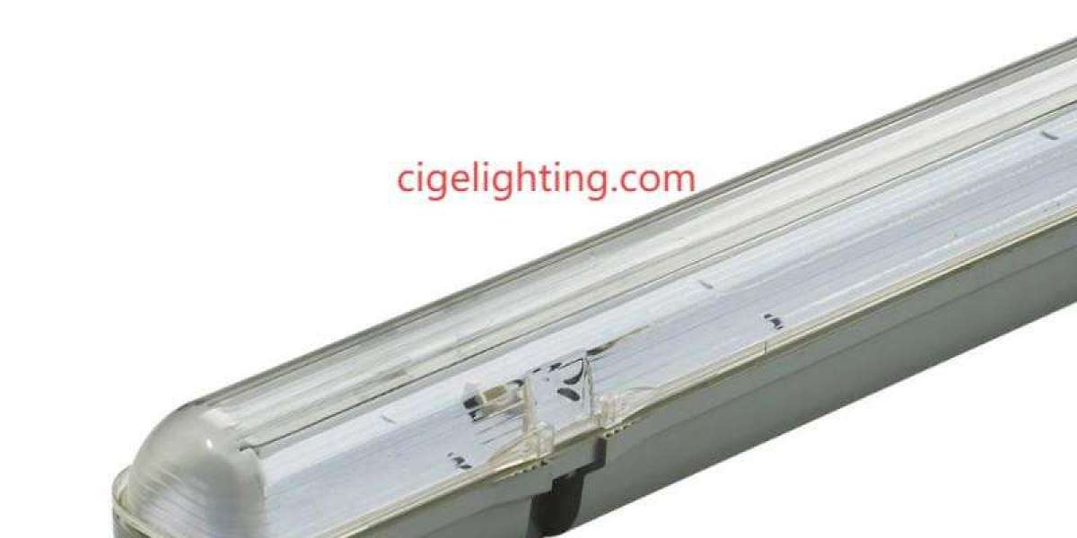 The Sustainable Path of Cige Led Waterproof Light Factory