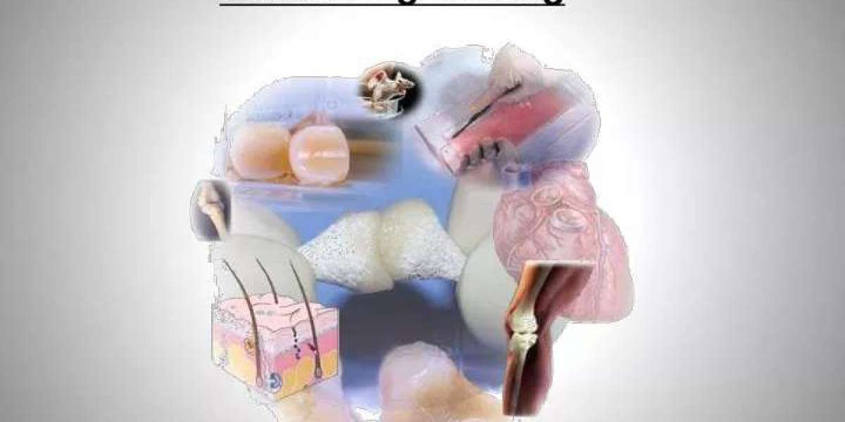 Regenerative Medicine Revolution: Tissue Engineering Market Set for Significant Growth