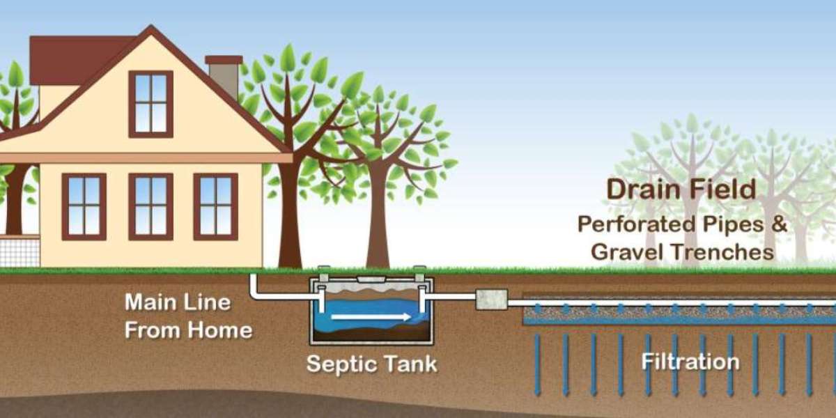 How to Maintain Your Septic System Effectively