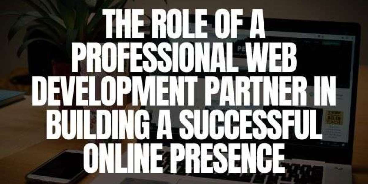 The Role of a Professional Web Development Partner in Building a Successful Online Presence