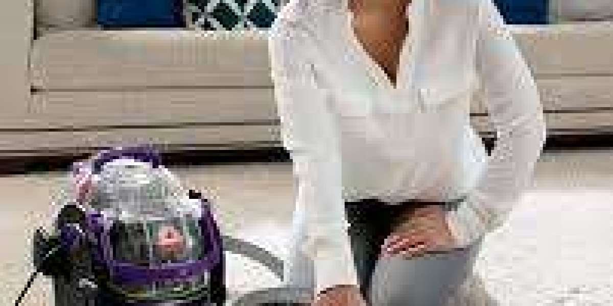 Portable Spot Cleaners Market Analysis Featuring Revenue Forecasts And Market Size Across Global Regions