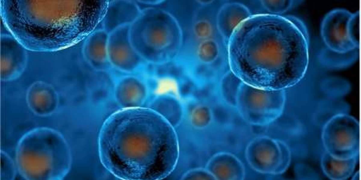 The Future of iPSCs: Bridging Research and Clinical Applications with Advanced Techniques