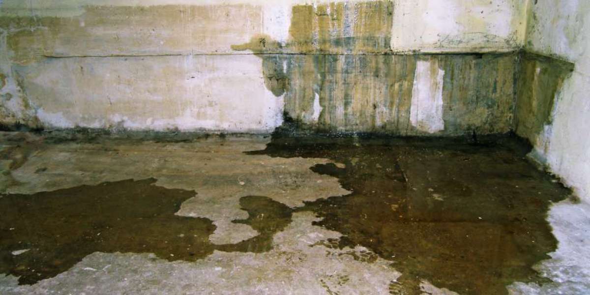 Basement Leak Service