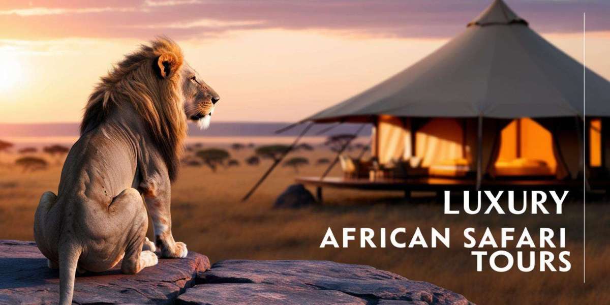 Packing Basic Essentials to Experience Luxury African Safari Tours