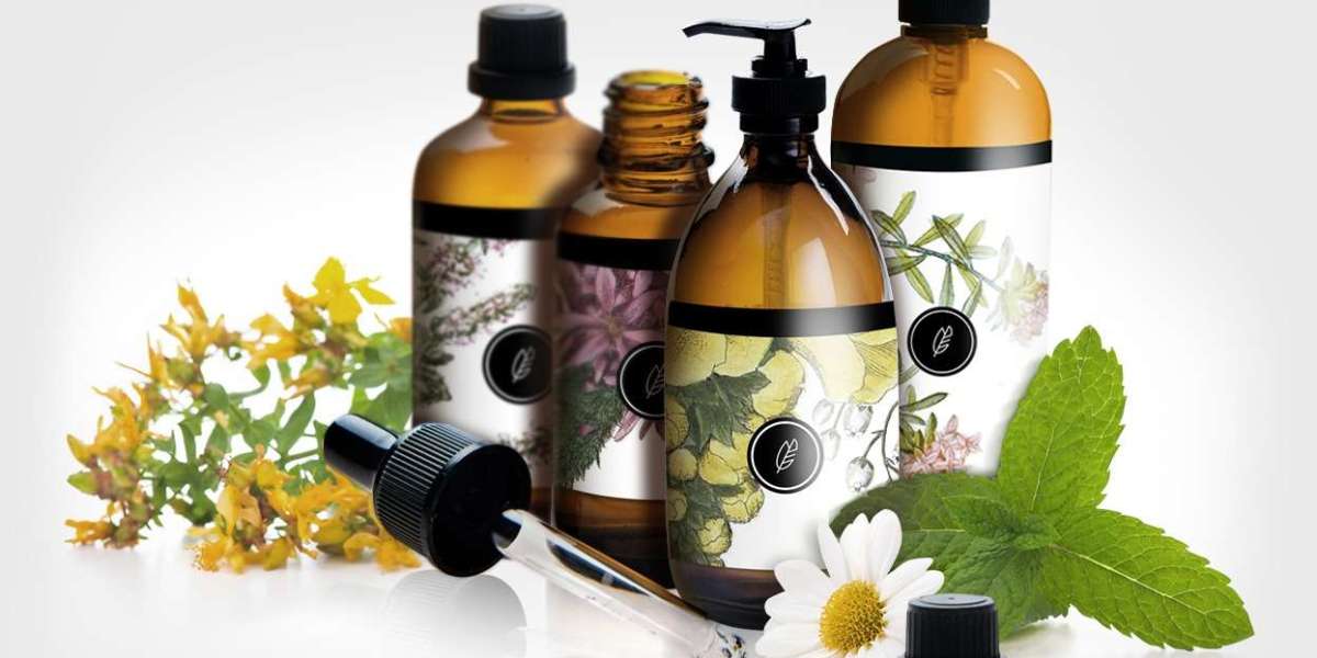 Columbia’s Path to Wellness: Mold, Gut Health & Nutritional Support That Heals