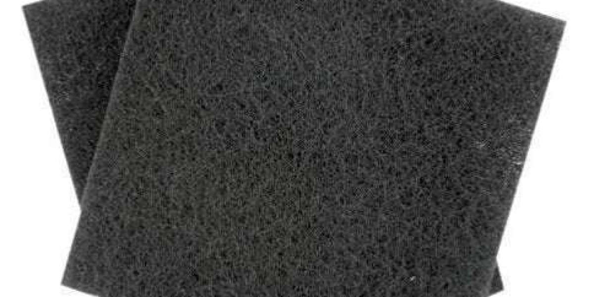activated carbon filter market long-term outlook indicates steady growth and transformation through innovation and regul