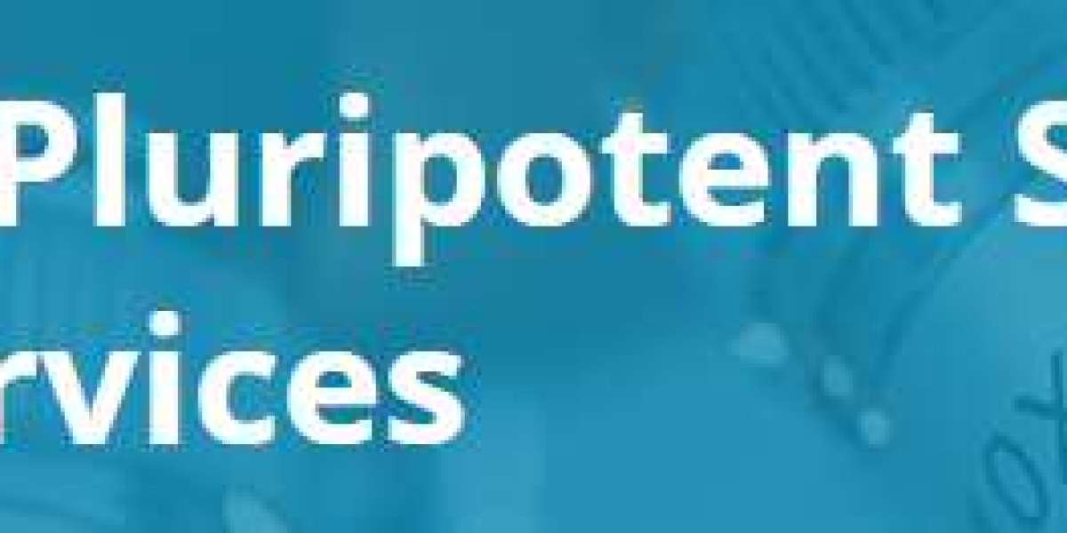 Advancing iPSC Cultures: High-Quality Scale-Up Services and Comprehensive Characterization