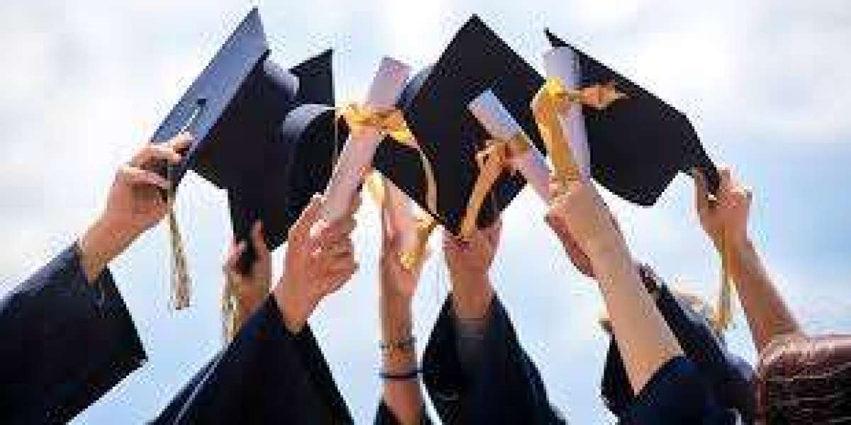 Higher Education Market Share, Growth & Trends Report 2025-2033