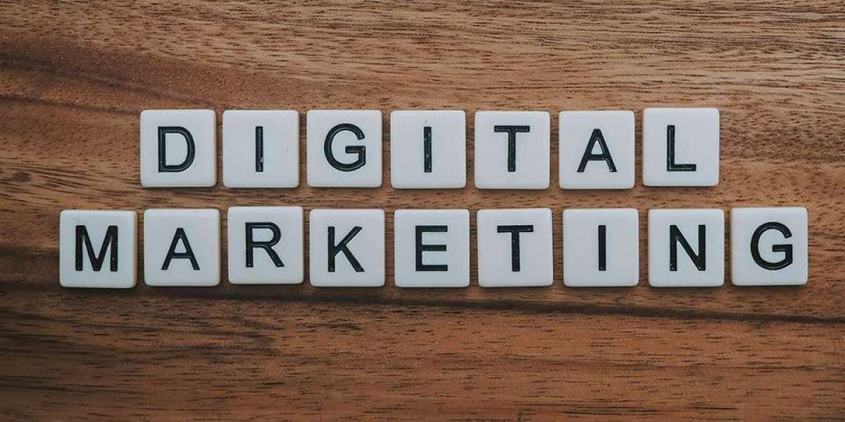 Kristaara - Digital Marketing Company Listing Website