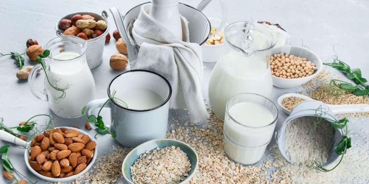 Saudi Arabia Milk Alternatives Market Growth, Trends, Share & Demand 2025-2033