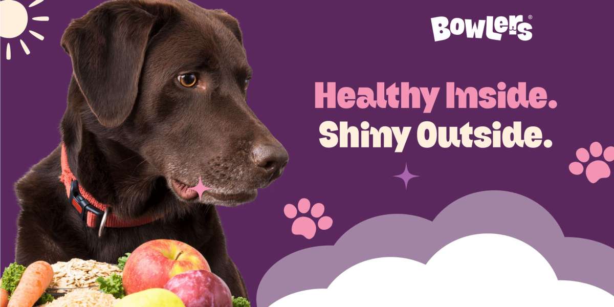 Ultimate Guide Choosing Best Dog Food for Your Pet