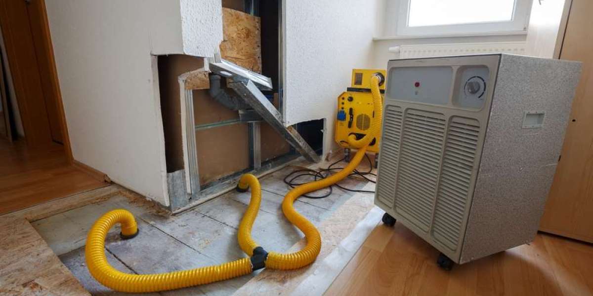 Top Benefits of Hiring a Professional Water Damage Restoration Expert