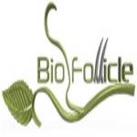 biofollicle