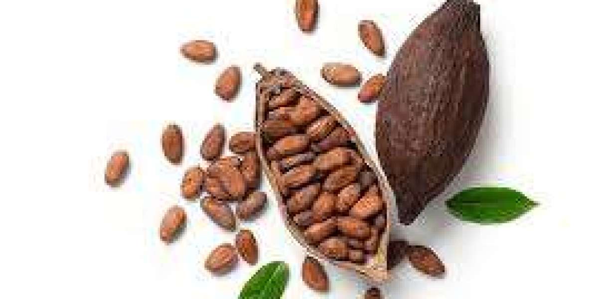 Cocoa Market transforming with sustainable farming, advanced technologies, and rising consumer demand for transparent su