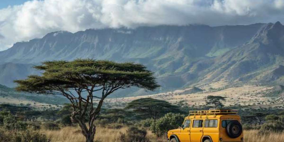 Experience the Wild Beauty of a Luxury African Safari with Experts