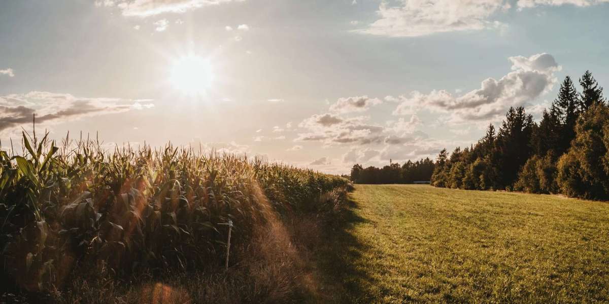 Virtual Therapy Sessions for Depression: Finding Hope Online