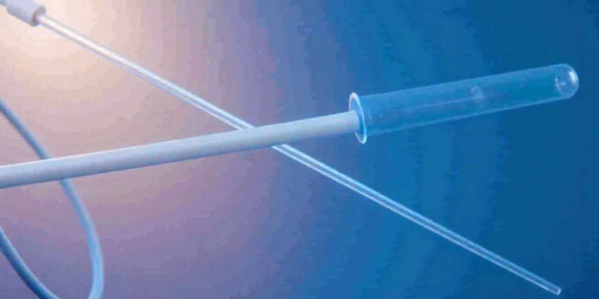 U.S. Central Venous Catheter Market Growth, Trends, Opportunities, and Industry Outlook 2024–2033