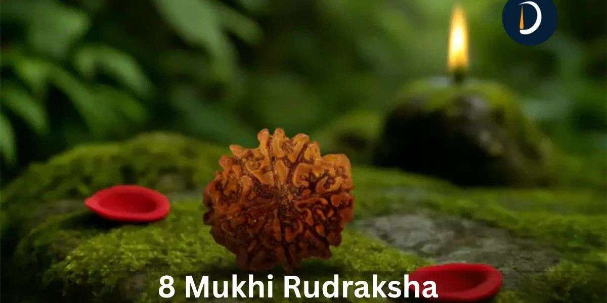 8 Mukhi Rudraksha: Benefits For Success and Strength