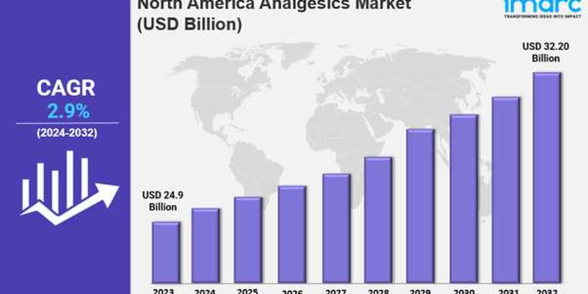 North America Analgesics Market Size, Growth, Latest Trends and Forecast 2025-2033